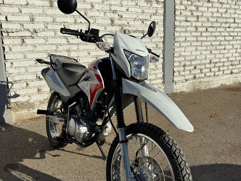 XR 2020